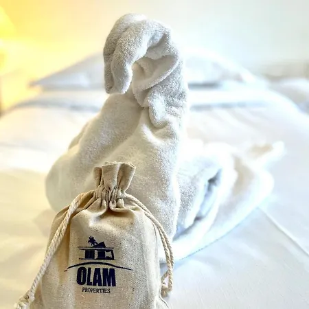 Premium 3 Bedroom 2 Bath Fully Renovated Heart Of Town By Olam Apartmán *